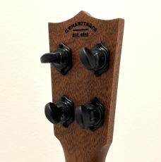 Martin Centennial Concert Uke_8