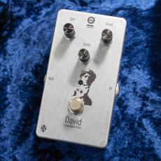 DOPHIX David【展示品特価!】