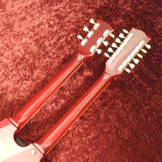 Burny RSG-140JP_7