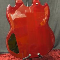 Burny RSG-140JP_10