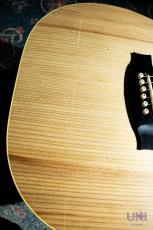 Maton PERFORMER_6