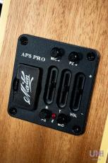 Maton PERFORMER_8