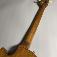 Gibson Les Paul Standard '50s Tobacco Burst レスポールスタンダード 【現物画像】_6