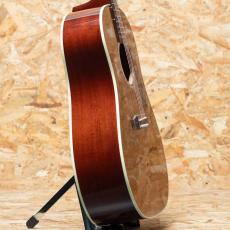 Gibson J-45 Standard Goldtop_4