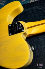 Fender American Professional II Telecaster Maple / 2021_8