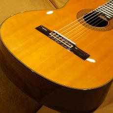YAMAHA GC-31C_2