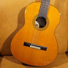 YAMAHA GC-22C
