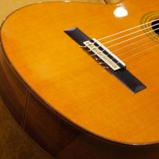 YAMAHA GC-22C_2