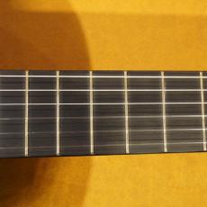 YAMAHA GC-22C_8