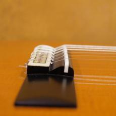 YAMAHA GC-22C_10
