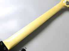 FUJIGEN NJB100RALV -Black-【4.78kg】_8