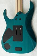 Ibanez HZK1 "HAZUKI Signature" #F2619448 【NEMOPHILA / KOIAI】_9