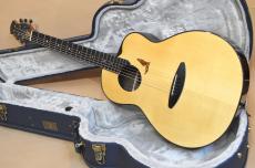 aNueNue aNN-LS700