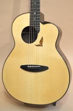 aNueNue aNN-LS700_5