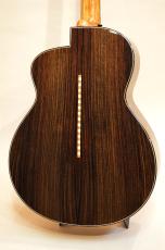 aNueNue aNN-LS700_9