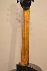 aNueNue aNN-LS700_10