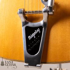 Iwaneko Guitars Type-Vibrato D_3