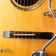Iwaneko Guitars Type-Vibrato D_4
