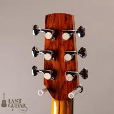 Iwaneko Guitars Type-Vibrato D_8