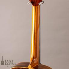 Iwaneko Guitars Type-Vibrato D_9