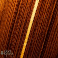 Iwaneko Guitars Type-Vibrato D_11