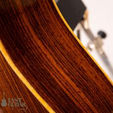 Iwaneko Guitars Type-Vibrato D_12