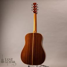 Iwaneko Guitars Type-Vibrato D_13