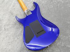 FERNANDES FGZ-1C_5