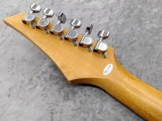 FERNANDES FGZ-1C_10