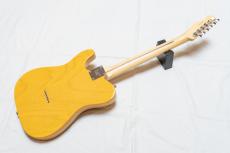 Fender American Professional Telecaster_2