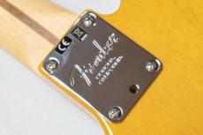 Fender American Professional Telecaster_11