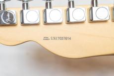 Fender American Professional Telecaster_12