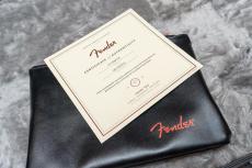 Fender American Professional Telecaster_14