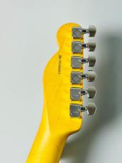 Fender FSR LTD American Professional II Telecaster Thinline -Transparent Daphne Blue- #US24024313【3.34kg】_6