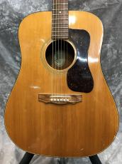 Guild D-25 '82_5