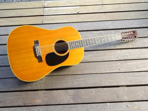 Martin D12-35