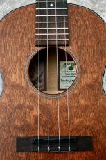 Martin 1T IZ Tenor Uke【Tenor】【Quilted Mahogany】【2024年製】【町田店】