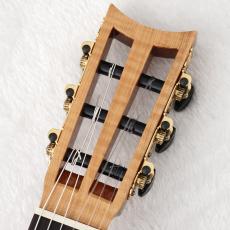 Martinez 19th Century 【USED】【630mm】【松/ローズウッド】【町田店】_3