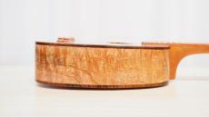Antar Soprano LongNeck Hawaiian Mango【2025 T.H.G.F.出品モデル!】_12