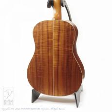 TODA Guitars SD_3