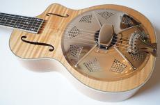 Delta Express TG-Cutaway ll_4