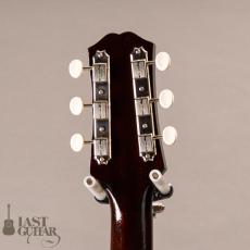 KING SNAKE Yucca with Pickup_8