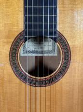 Pedro C.Valbuena 松/シープレス単板_5