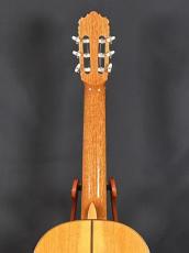 Pedro C.Valbuena 松/シープレス単板_6