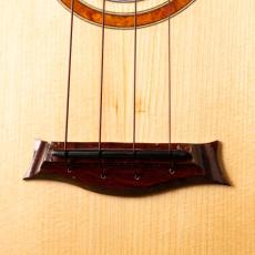 Gladstone Luthiers Camphor Laurel Tenor_3