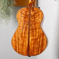 Gladstone Luthiers Camphor Laurel Tenor_9