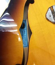 Epiphone Japan Limited Edition Elitist 1965 Casino Vintage_8