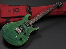 Paul Reed Smith [PRS] SE Custom 24 ~Blue Matteo~_2