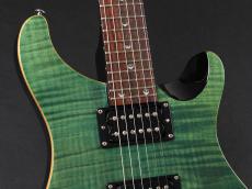 Paul Reed Smith [PRS] SE Custom 24 ~Blue Matteo~_4