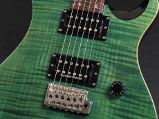 Paul Reed Smith [PRS] SE Custom 24 ~Blue Matteo~_5